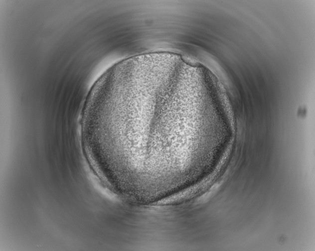 X0000091450814200709061733