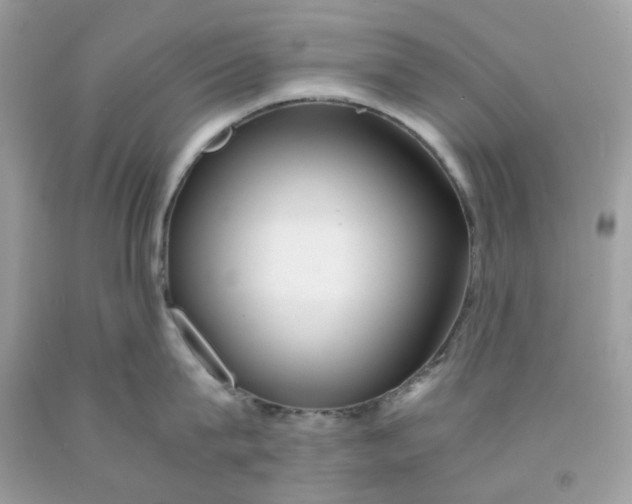 X0000091450815200709061733