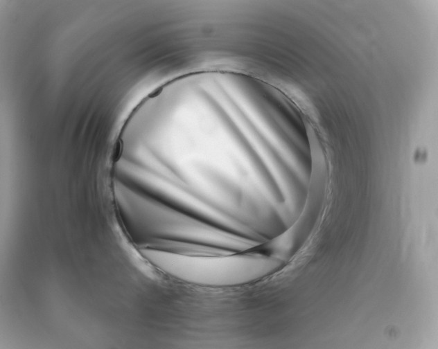 X0000091450816200709061733