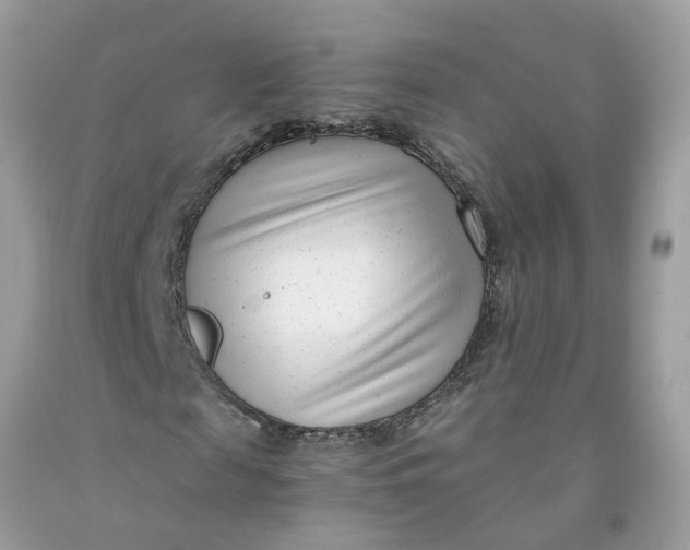 X0000091450817200709061733