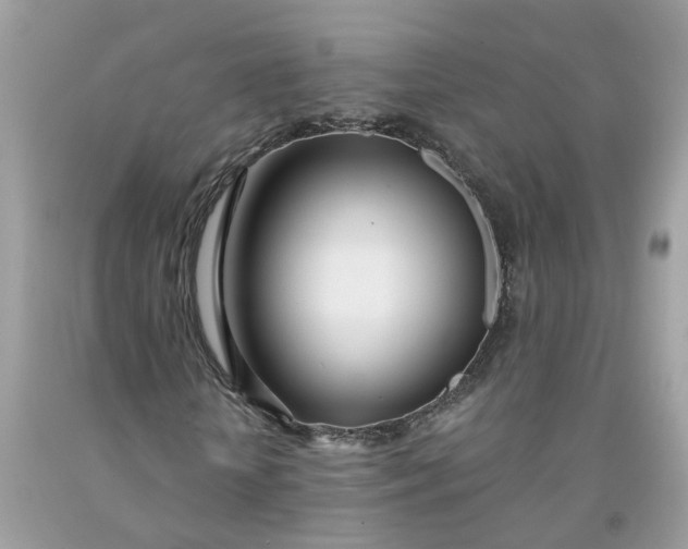 X0000091450818200709061733