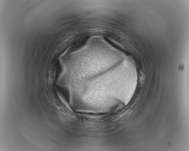 X0000091450819200709061733