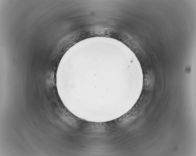 X0000091450820200709061733