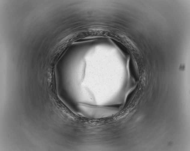 X0000091450821200709061733