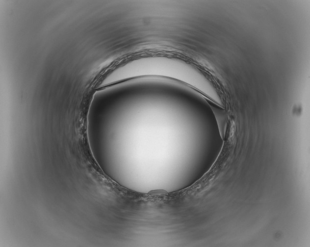 X0000091450822200709061733