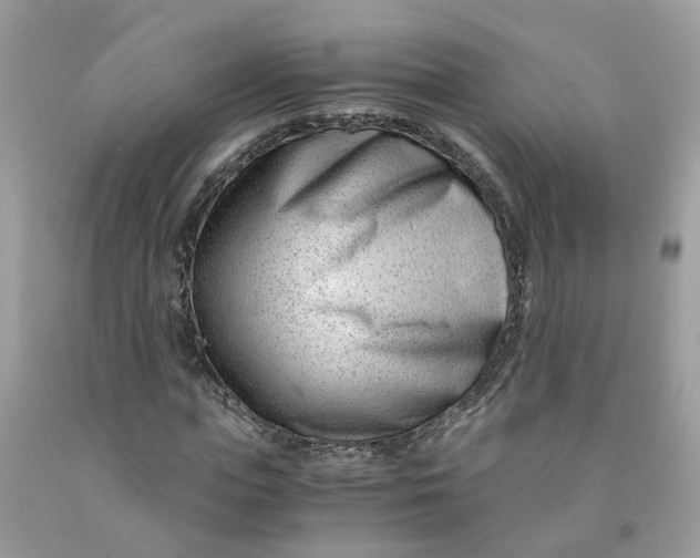 X0000091450823200709061733