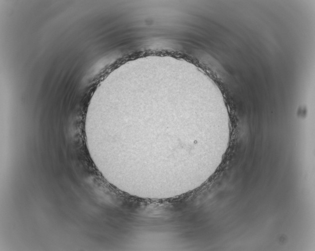 X0000091450824200709061733