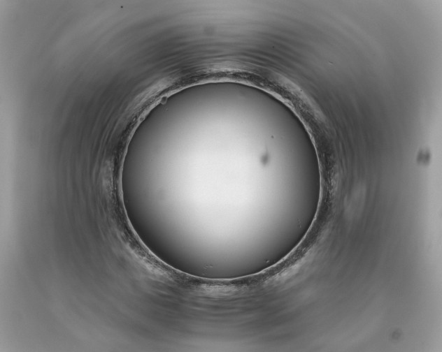 X0000091450825200709061733