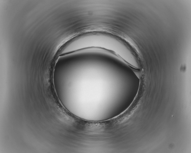 X0000091450826200709061733