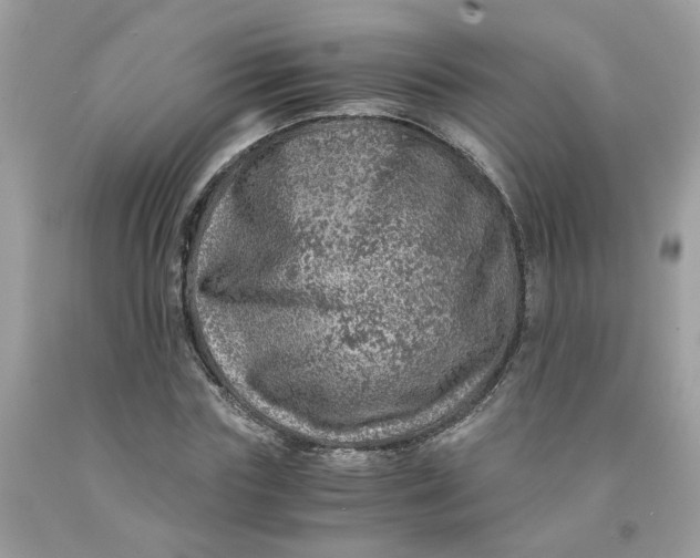 X0000091450827200709061733