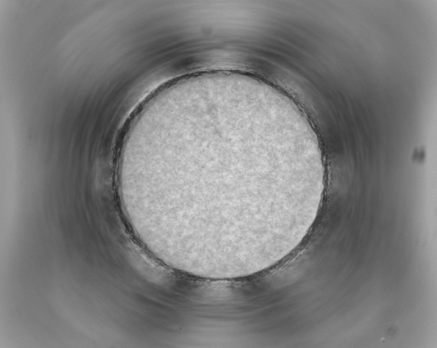 X0000091450828200709061733