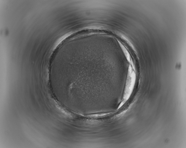 X0000091450829200709061733