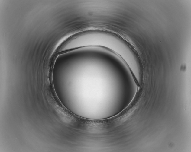 X0000091450830200709061733