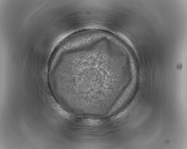 X0000091450831200709061733