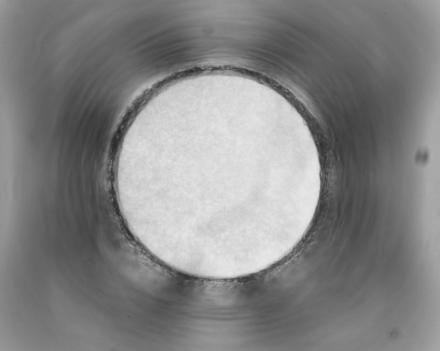 X0000091450832200709061733