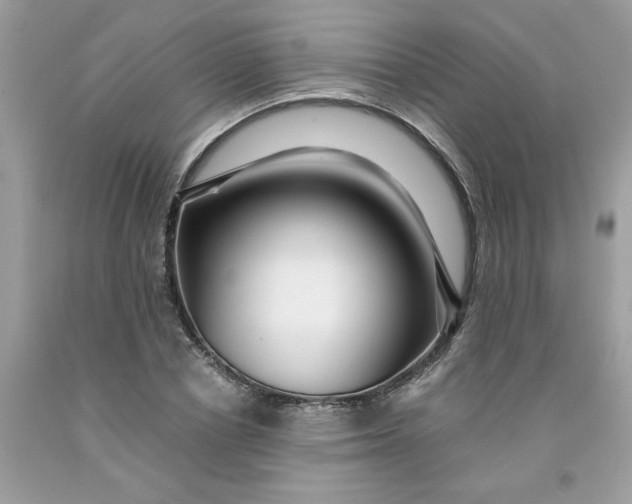 X0000091450834200709061733