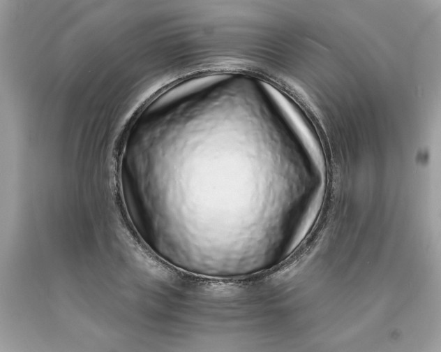 X0000091450835200709061733