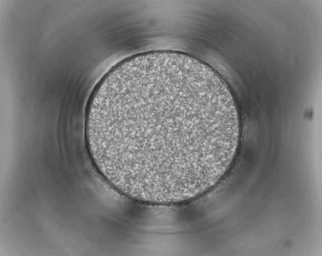 X0000091450836200709061733