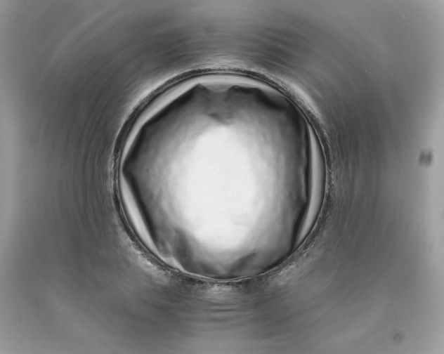 X0000091450839200709061733