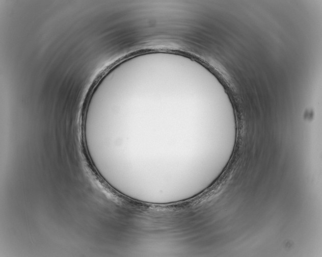 X0000091450840200709061733