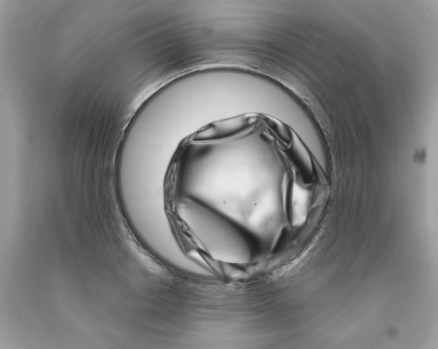 X0000091450842200709061733