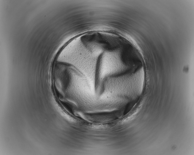 X0000091450843200709061733