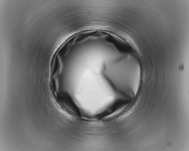 X0000091450844200709061733