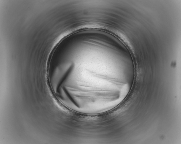 X0000091450845200709061733