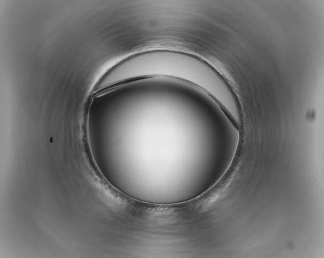 X0000091450846200709061733