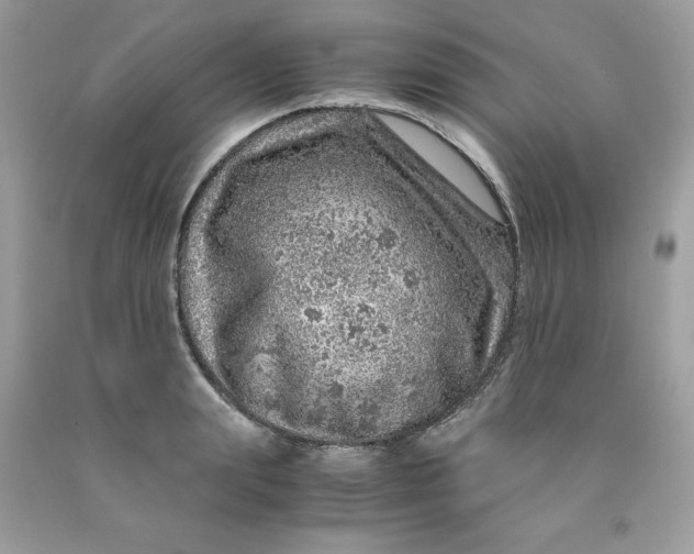 X0000091450847200709061733