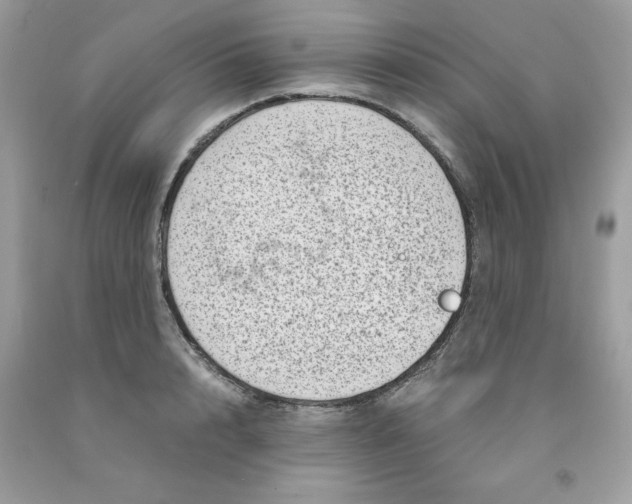 X0000091450848200709061733