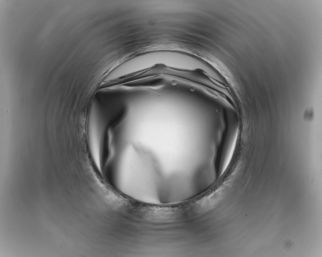 X0000091450849200709061733