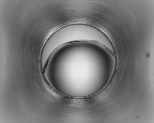 X0000091450850200709061733