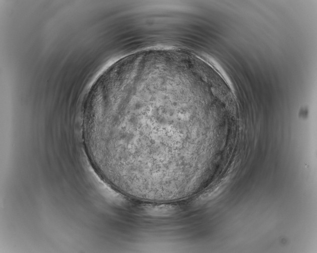 X0000091450851200709061733