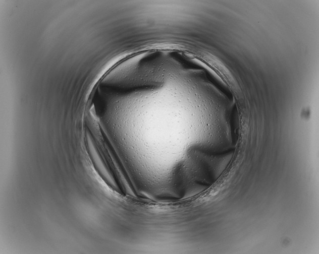 X0000091450852200709061733