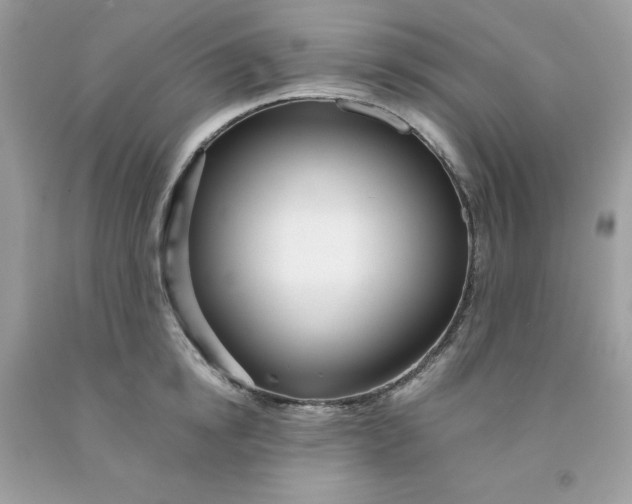 X0000091450854200709061733