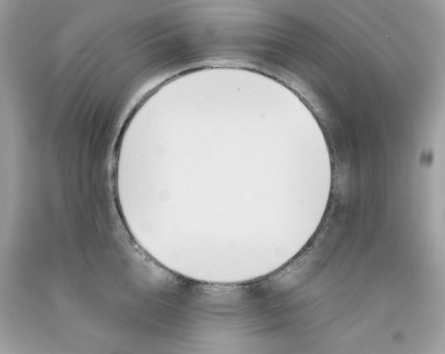 X0000091450856200709061733