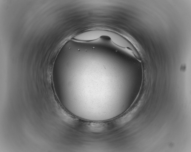 X0000091450857200709061733