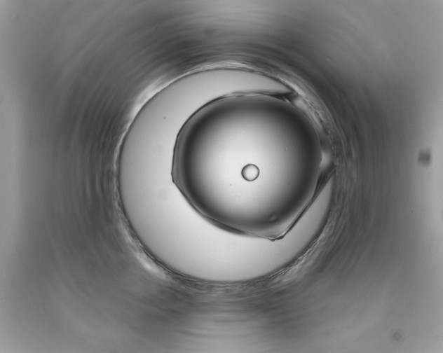 X0000091450858200709061733