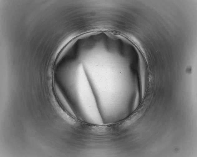 X0000091450859200709061733