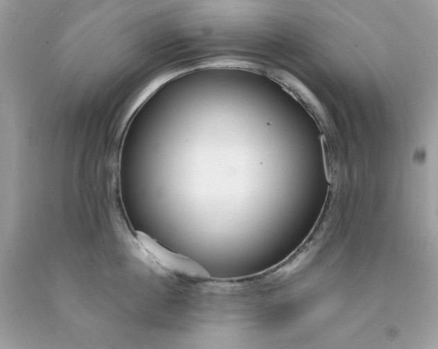 X0000091450860200709061733