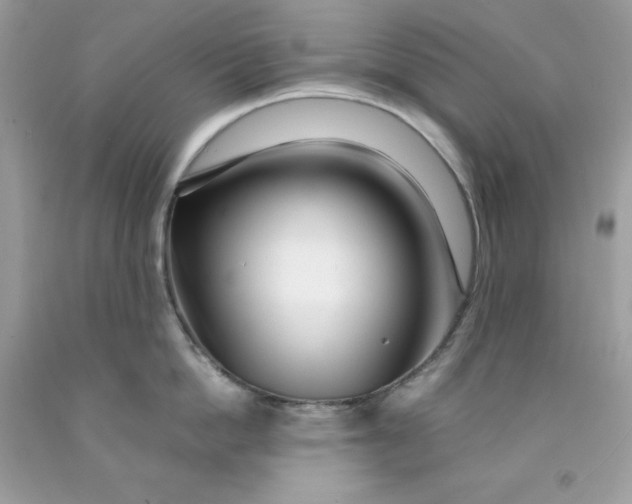 X0000091450862200709061733