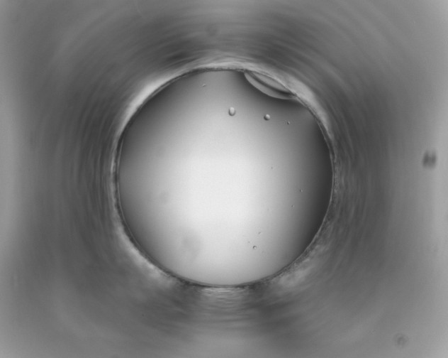 X0000091450863200709061733