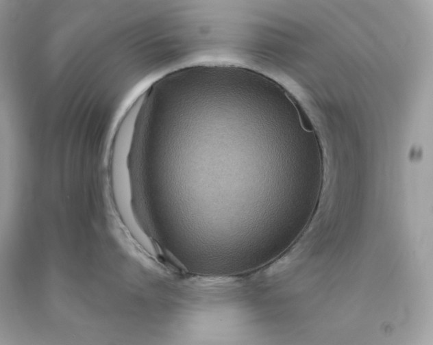 X0000091450864200709061733