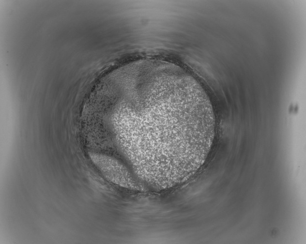 X0000091450865200709061733