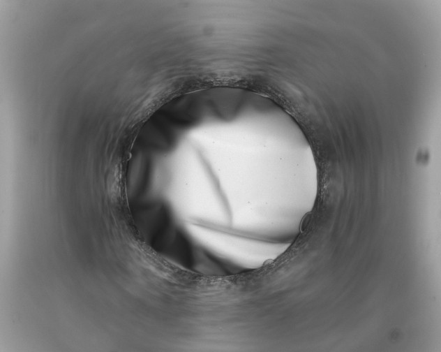 X0000091450866200709061733