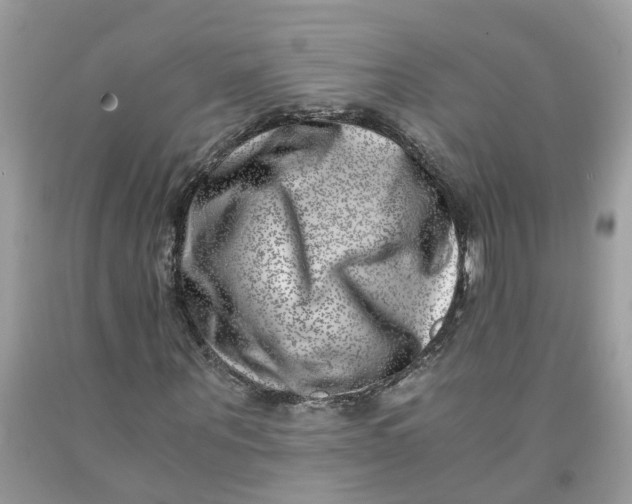 X0000091450867200709061733