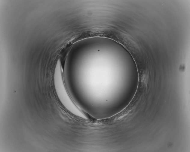 X0000091450868200709061733