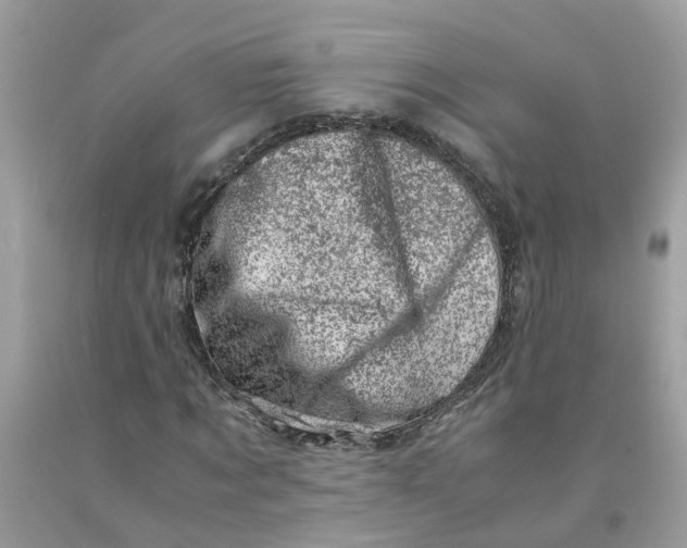 X0000091450869200709061733