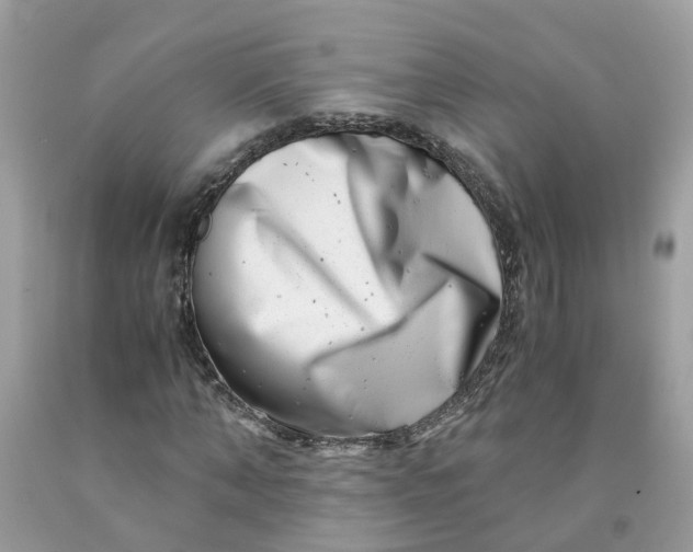 X0000091450870200709061733